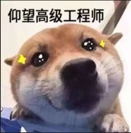 仰望大佬